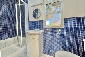 Photo 9- click for photo gallery